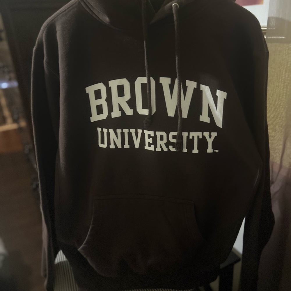 Brown University Men's Hoodie - Brown